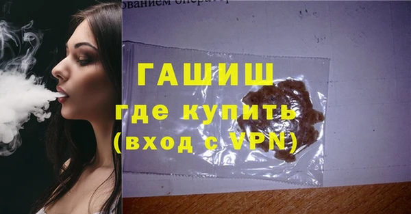 гидра Няндома