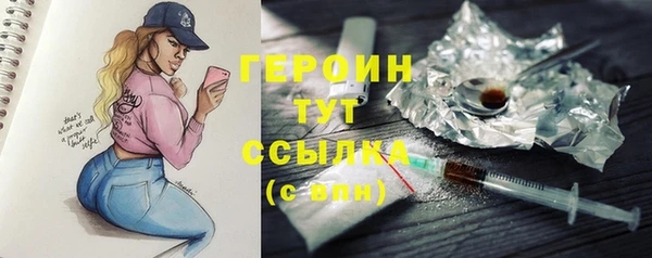 гидра Няндома