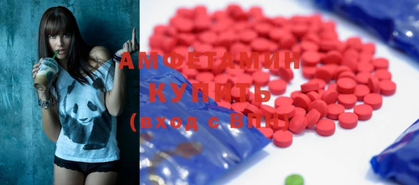 гидра Няндома