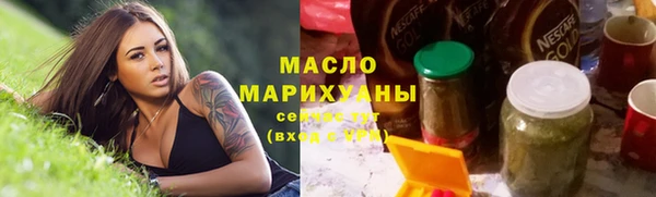 гидра Няндома
