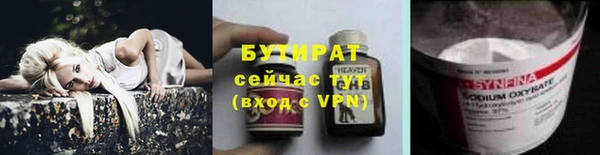 гидра Няндома