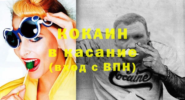 гидра Няндома