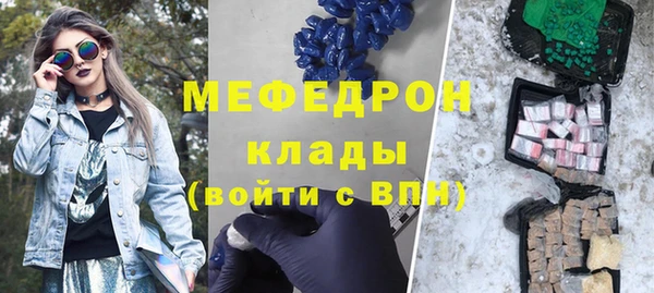 гидра Няндома