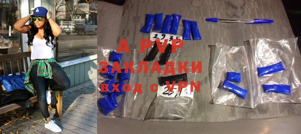 гидра Няндома