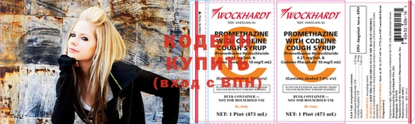 гидра Няндома