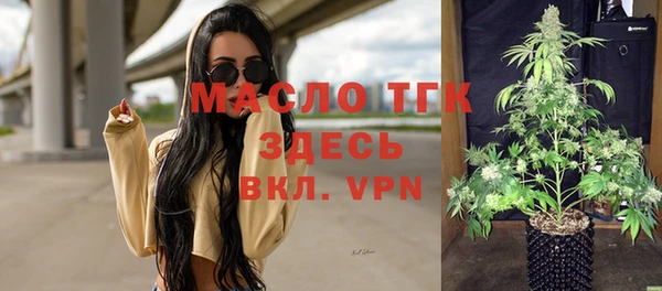 прущие грибы Гусев