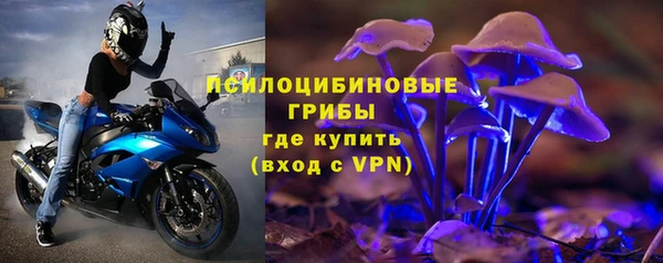 дурь Нязепетровск