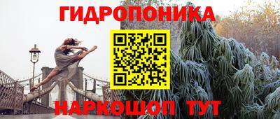 наркотики Заводоуковск