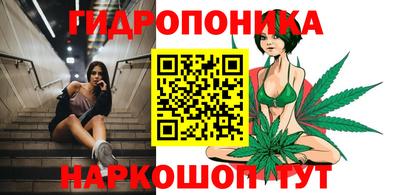 молекула духа Жуковский