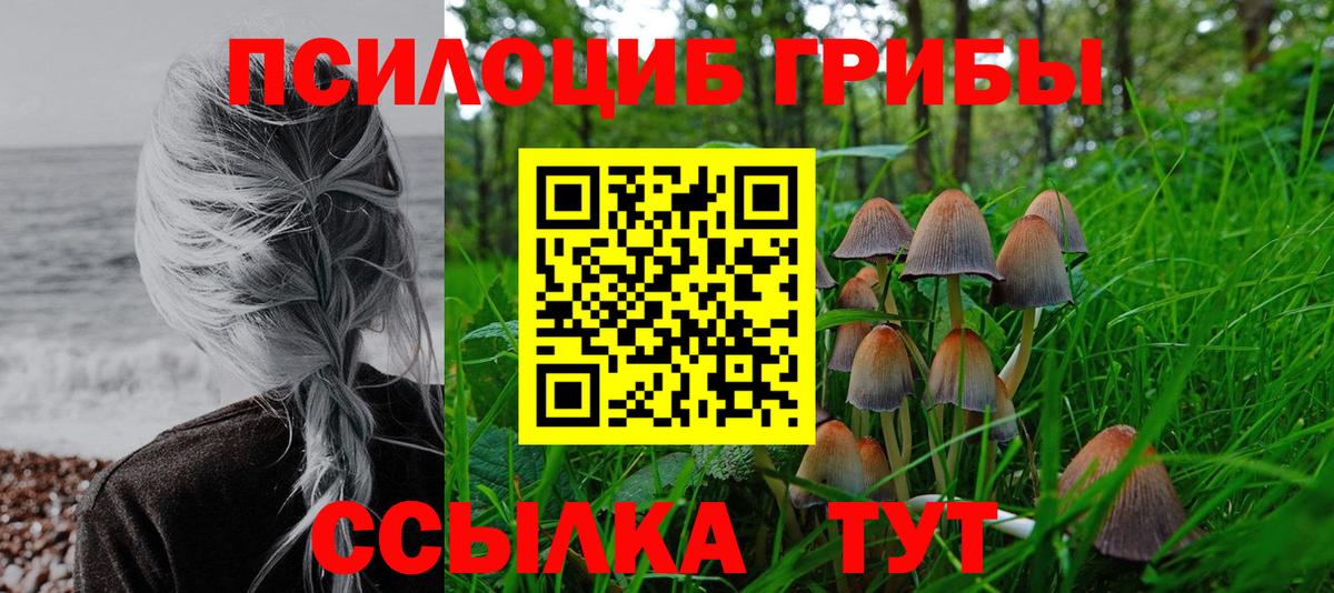 Реж  Псилоцибиновые грибы Psilocybine cubensis  Галлюциногенные грибы Psilocybine cubensis  Вход с VPN 